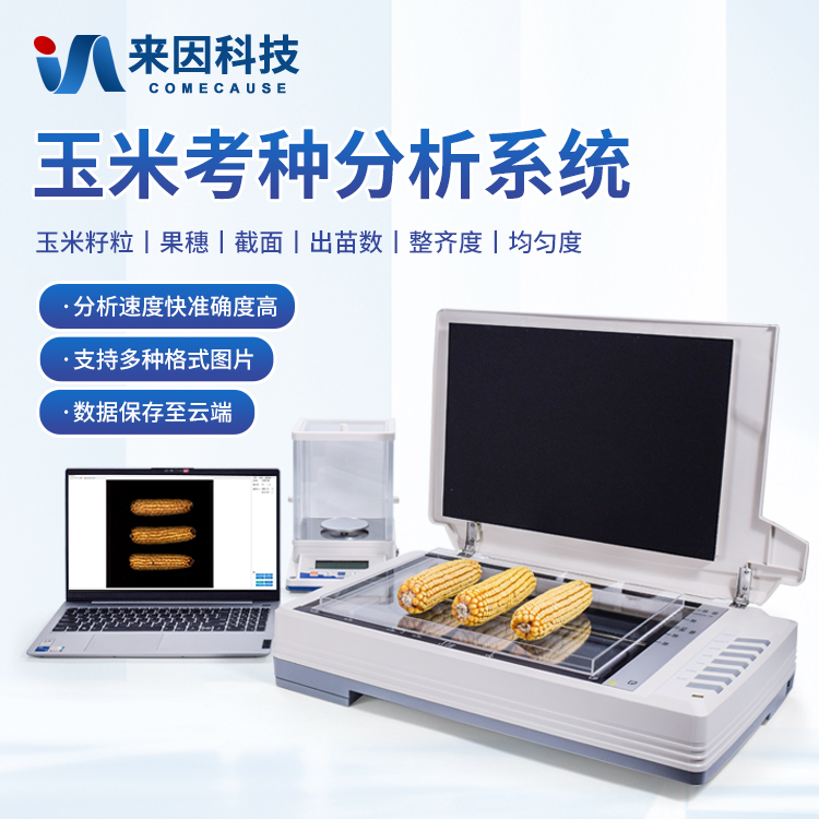 疏附县农业农村局购进来因科技玉米…